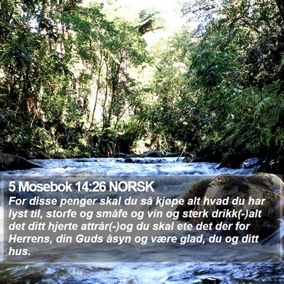 5 Mosebok 14:26 NORSK Bible Verse Image