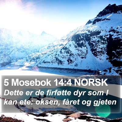 5 Mosebok 14:4 NORSK Bible Verse Image