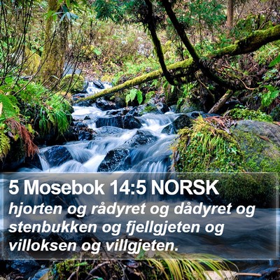 5 Mosebok 14:5 NORSK Bible Verse Image