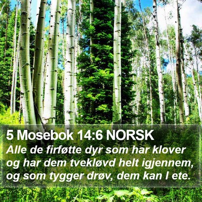 5 Mosebok 14:6 NORSK Bible Verse Image