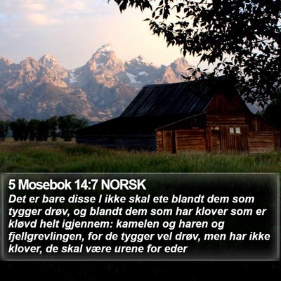 5 Mosebok 14:7 NORSK Bible Verse Image
