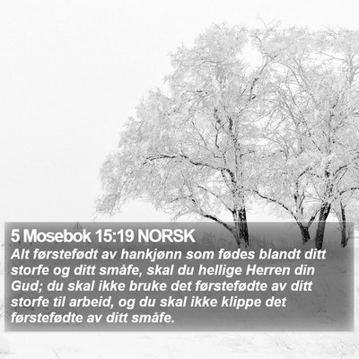 5 Mosebok 15:19 NORSK Bible Verse Image