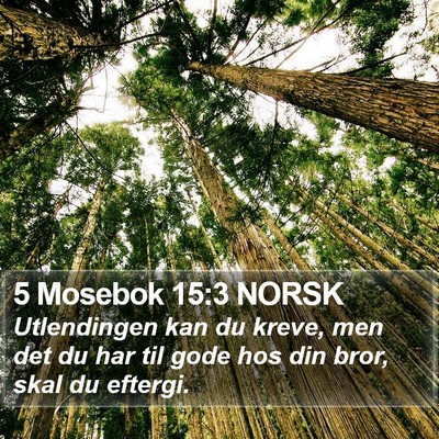 5 Mosebok 15:3 NORSK Bible Verse Image