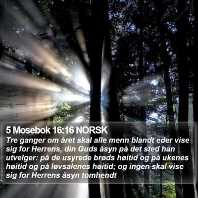 5 Mosebok 16:16 NORSK Bible Verse Image