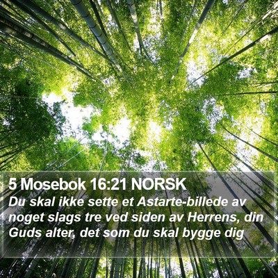 5 Mosebok 16:21 NORSK Bible Verse Image