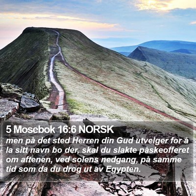 5 Mosebok 16:6 NORSK Bible Verse Image