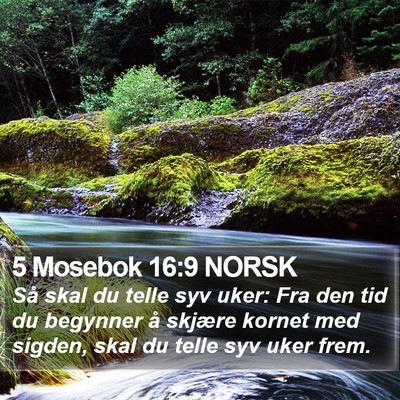 5 Mosebok 16:9 NORSK Bible Verse Image