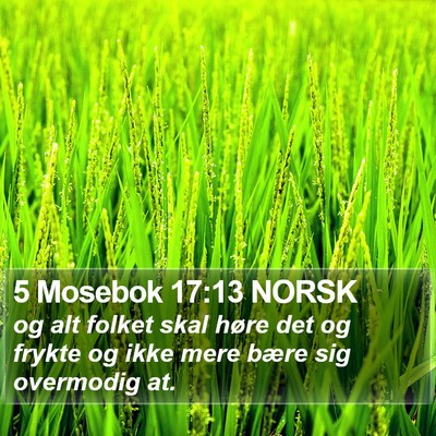 5 Mosebok 17:13 NORSK Bible Verse Image