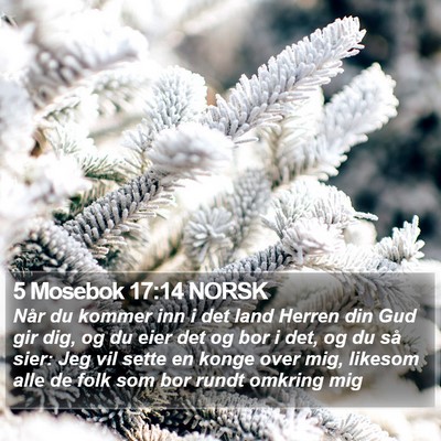 5 Mosebok 17:14 NORSK Bible Verse Image