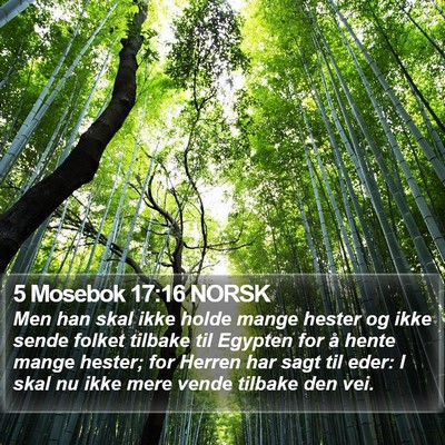 5 Mosebok 17:16 NORSK Bible Verse Image
