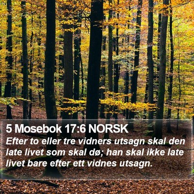 5 Mosebok 17:6 NORSK Bible Verse Image
