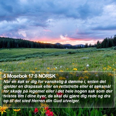 5 Mosebok 17:8 NORSK Bible Verse Image