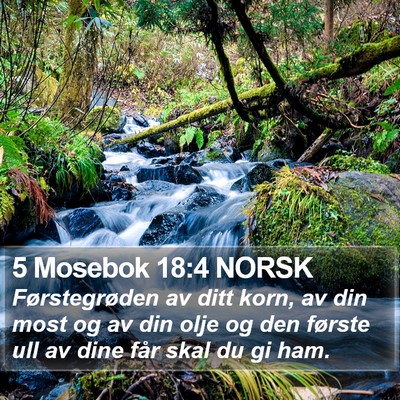 5 Mosebok 18:4 NORSK Bible Verse Image