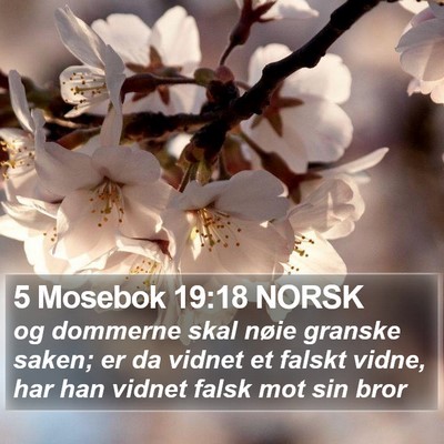 5 Mosebok 19:18 NORSK Bible Verse Image