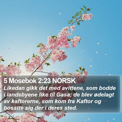 5 Mosebok 2:23 NORSK Bible Verse Image