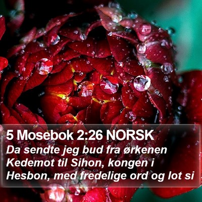 5 Mosebok 2:26 NORSK Bible Verse Image