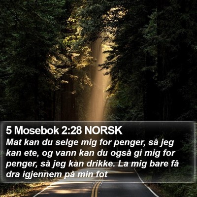 5 Mosebok 2:28 NORSK Bible Verse Image