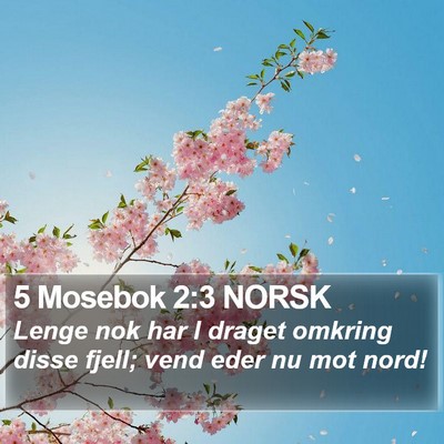 5 Mosebok 2:3 NORSK Bible Verse Image