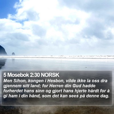 5 Mosebok 2:30 NORSK Bible Verse Image