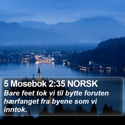 5 Mosebok 2:35 NORSK Bible Verse Image