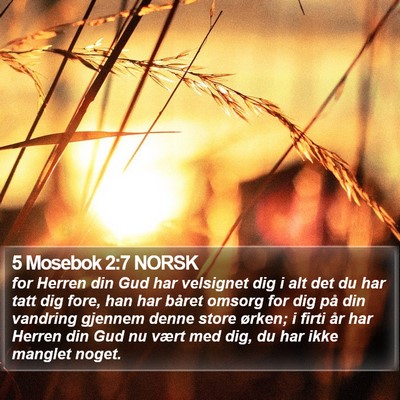 5 Mosebok 2:7 NORSK Bible Verse Image