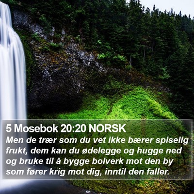 5 Mosebok 20:20 NORSK Bible Verse Image