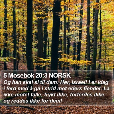 5 Mosebok 20:3 NORSK Bible Verse Image