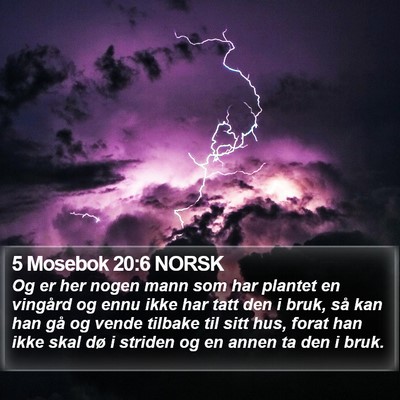 5 Mosebok 20:6 NORSK Bible Verse Image