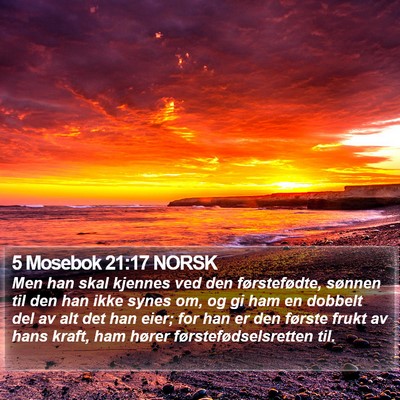 5 Mosebok 21:17 NORSK Bible Verse Image