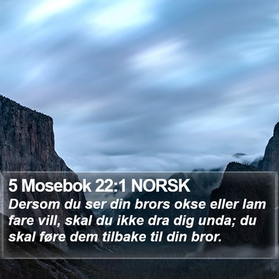 5 Mosebok 22:1 NORSK Bible Verse Image