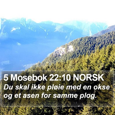 5 Mosebok 22:10 NORSK Bible Verse Image
