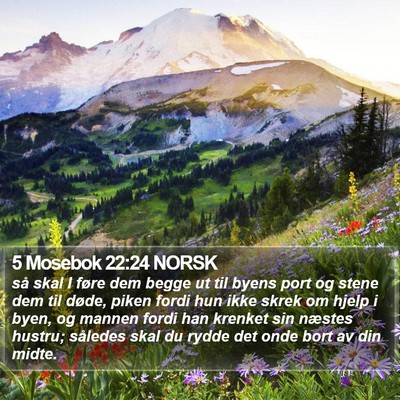 5 Mosebok 22:24 NORSK Bible Verse Image