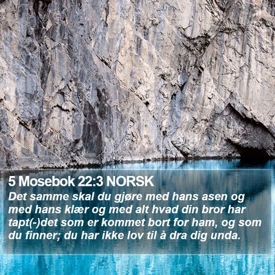 5 Mosebok 22:3 NORSK Bible Verse Image