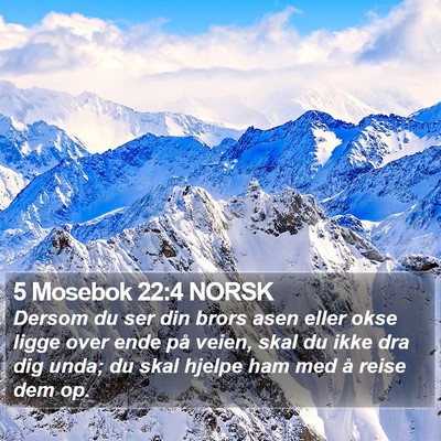 5 Mosebok 22:4 NORSK Bible Verse Image