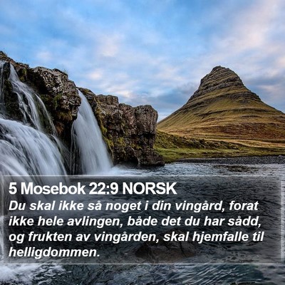 5 Mosebok 22:9 NORSK Bible Verse Image