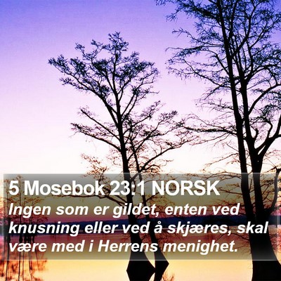 5 Mosebok 23:1 NORSK Bible Verse Image