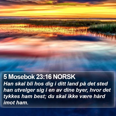 5 Mosebok 23:16 NORSK Bible Verse Image