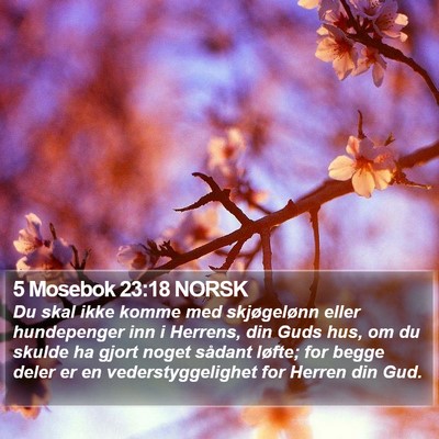 5 Mosebok 23:18 NORSK Bible Verse Image