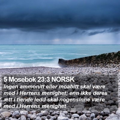 5 Mosebok 23:3 NORSK Bible Verse Image