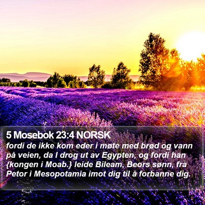 5 Mosebok 23:4 NORSK Bible Verse Image