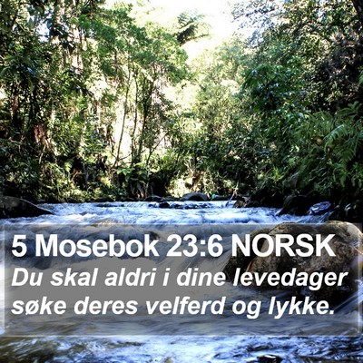 5 Mosebok 23:6 NORSK Bible Verse Image