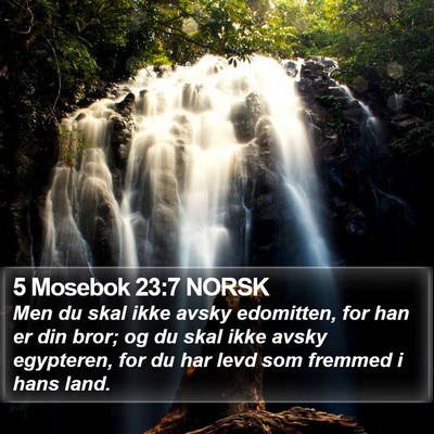 5 Mosebok 23:7 NORSK Bible Verse Image