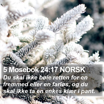 5 Mosebok 24:17 NORSK Bible Verse Image