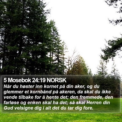 5 Mosebok 24:19 NORSK Bible Verse Image