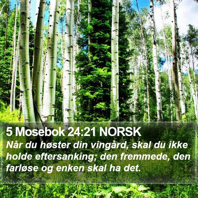 5 Mosebok 24:21 NORSK Bible Verse Image