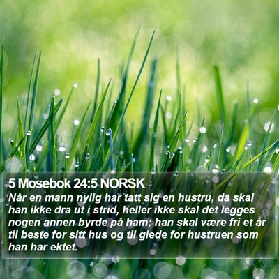 5 Mosebok 24:5 NORSK Bible Verse Image