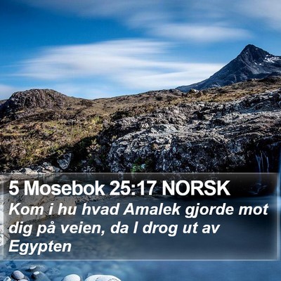 5 Mosebok 25:17 NORSK Bible Verse Image