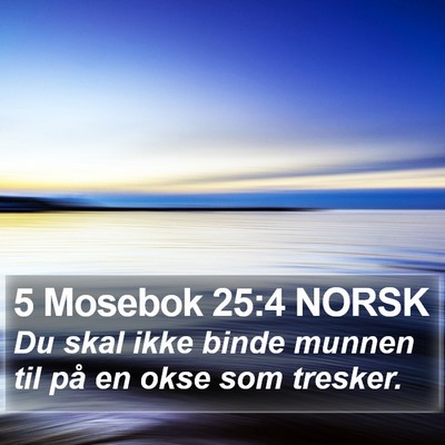 5 Mosebok 25:4 NORSK Bible Verse Image