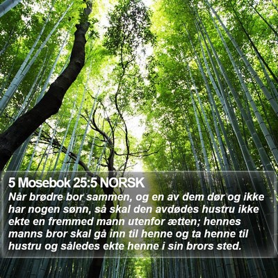 5 Mosebok 25:5 NORSK Bible Verse Image
