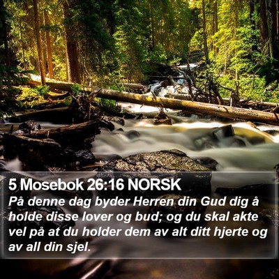 5 Mosebok 26:16 NORSK Bible Verse Image